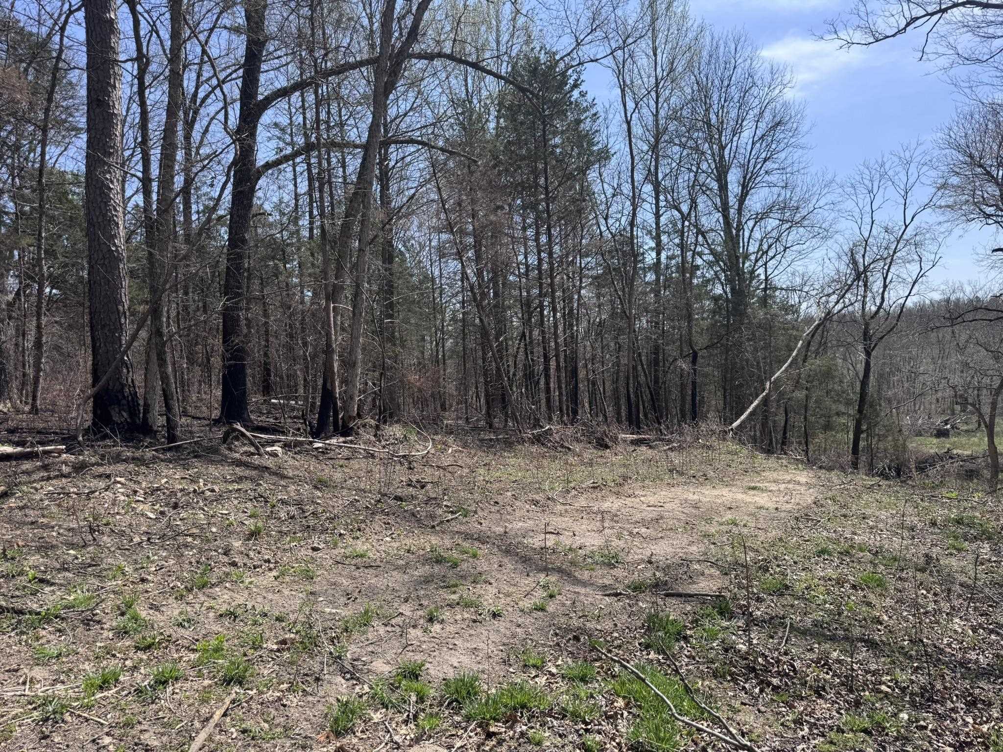 Photo 40 - Vacant Land for sale – 275A  Campground Road   Wideman, AR