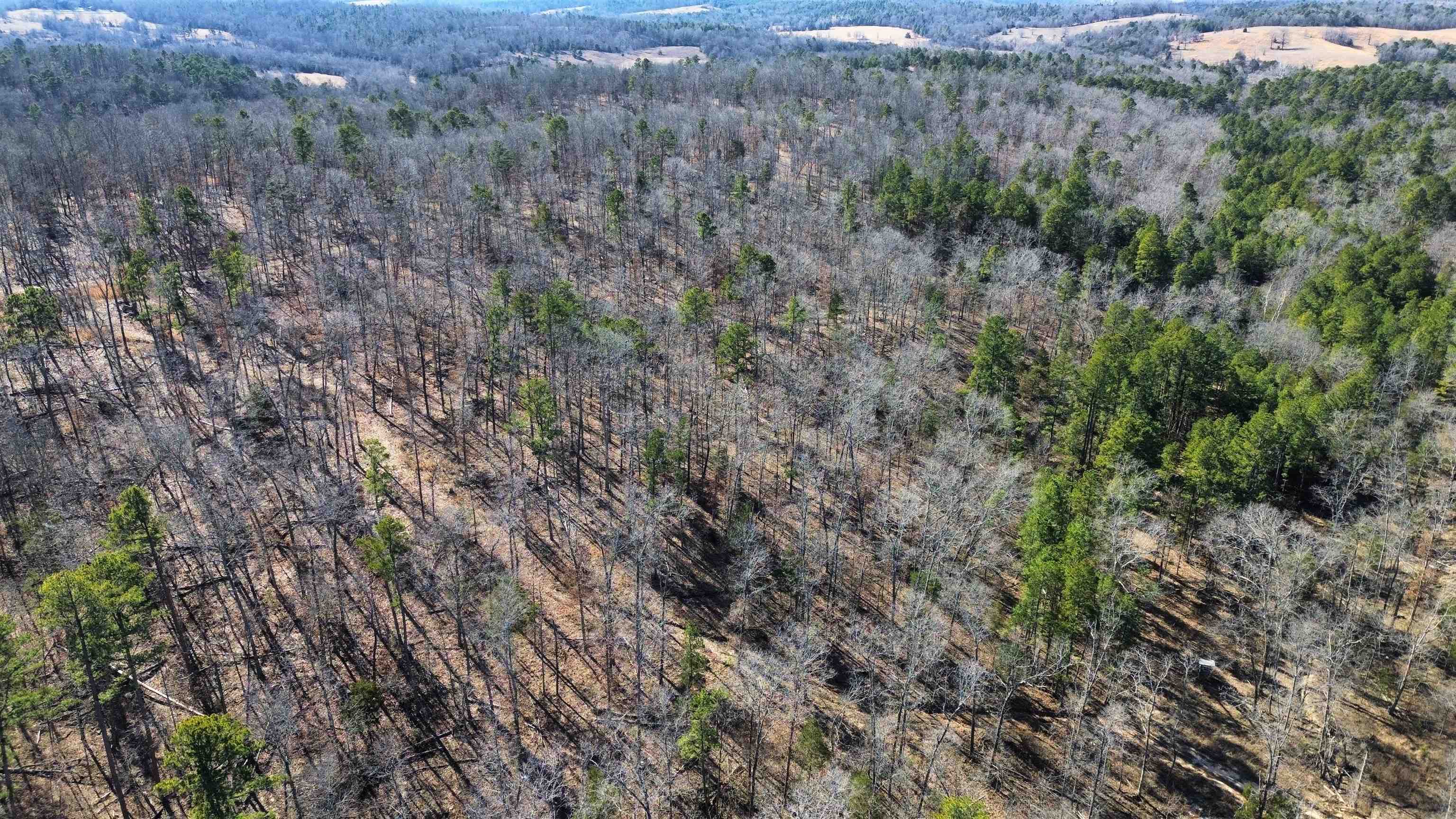 Photo 5 - Vacant Land for sale – 275A  Campground Road   Wideman, AR