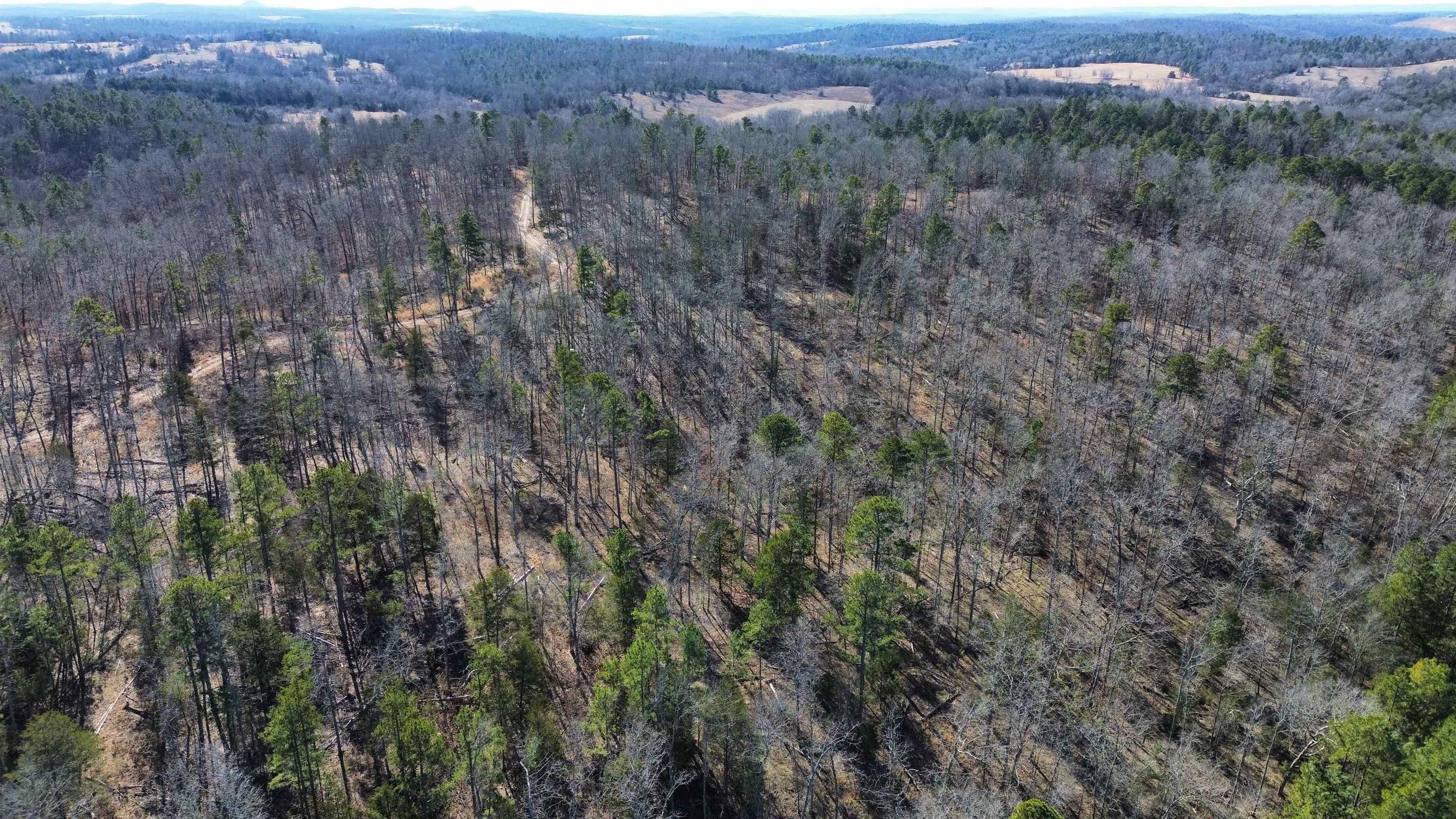 Photo 6 - Vacant Land for sale – 275A  Campground Road   Wideman, AR