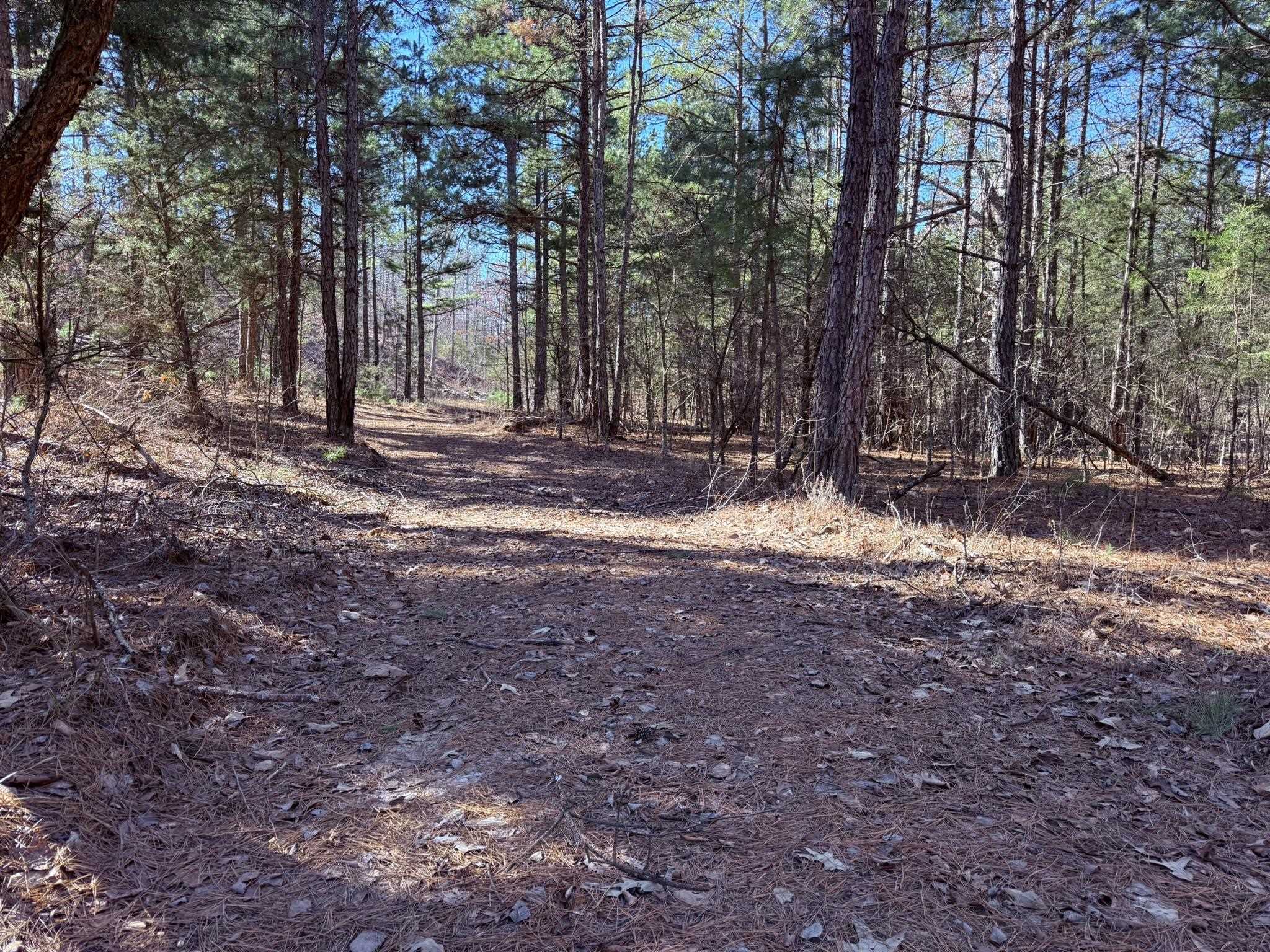 Photo 7 - Vacant Land for sale – 275A  Campground Road   Wideman, AR