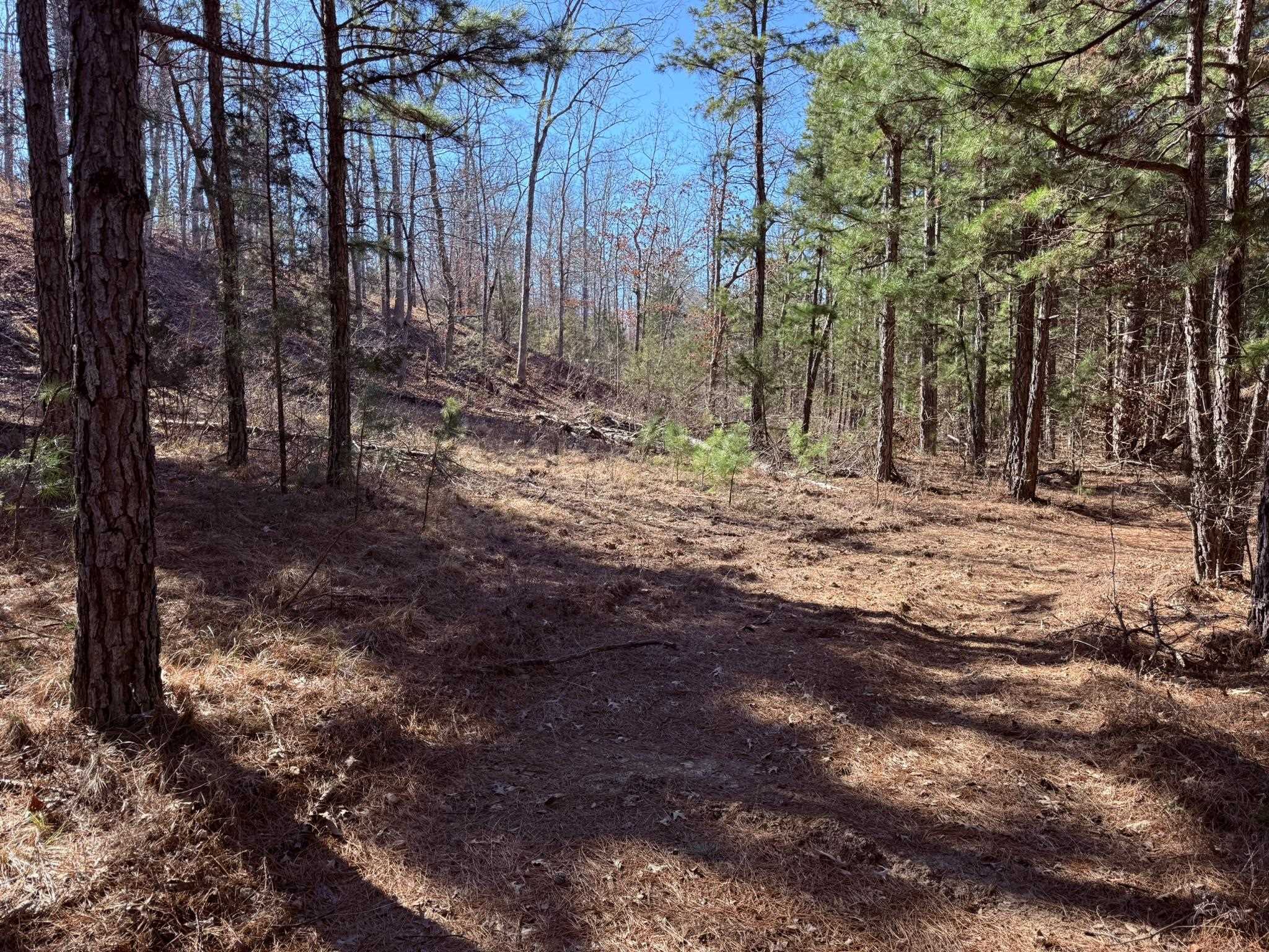 Photo 8 - Vacant Land for sale – 275A  Campground Road   Wideman, AR