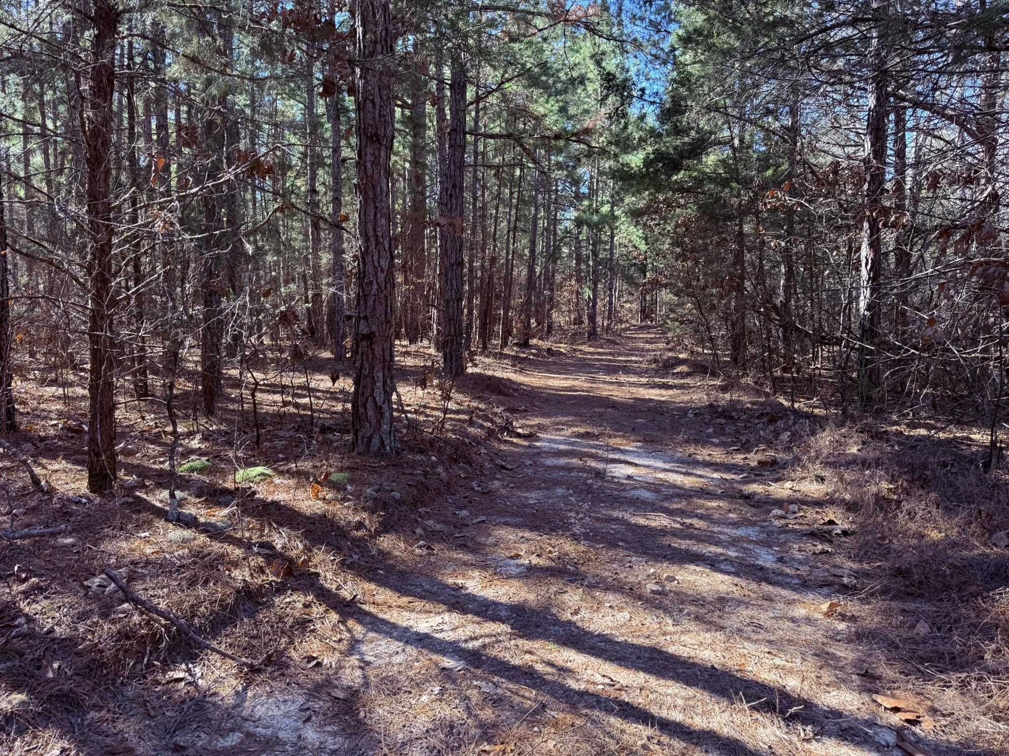 Photo 9 - Vacant Land for sale – 275A  Campground Road   Wideman, AR
