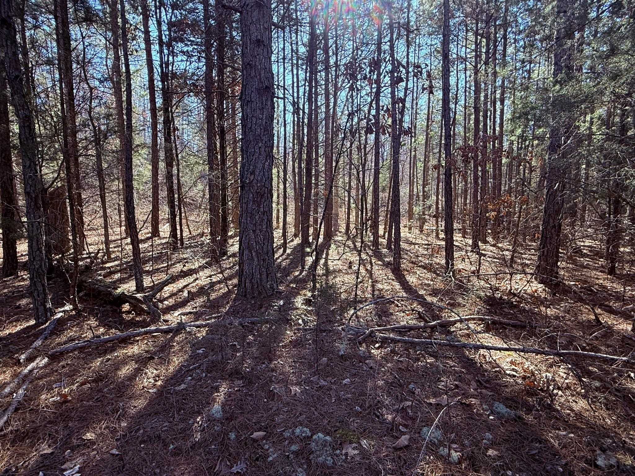 Photo 10 - Vacant Land for sale – 275A  Campground Road   Wideman, AR