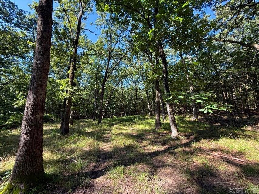Photo 11 - Vacant Land for sale – 0  Mountain Ridge   Batesville, AR