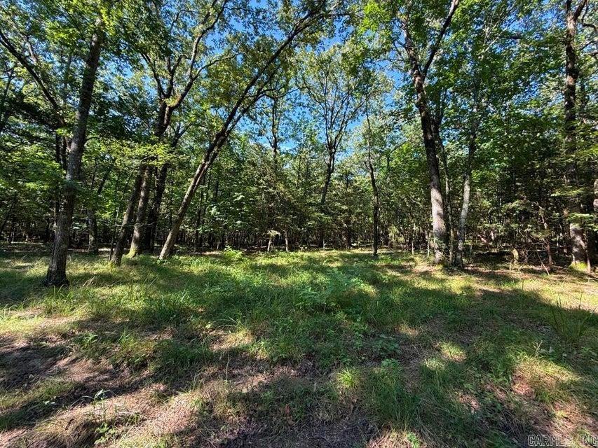 Photo 12 - Vacant Land for sale – 0  Mountain Ridge   Batesville, AR