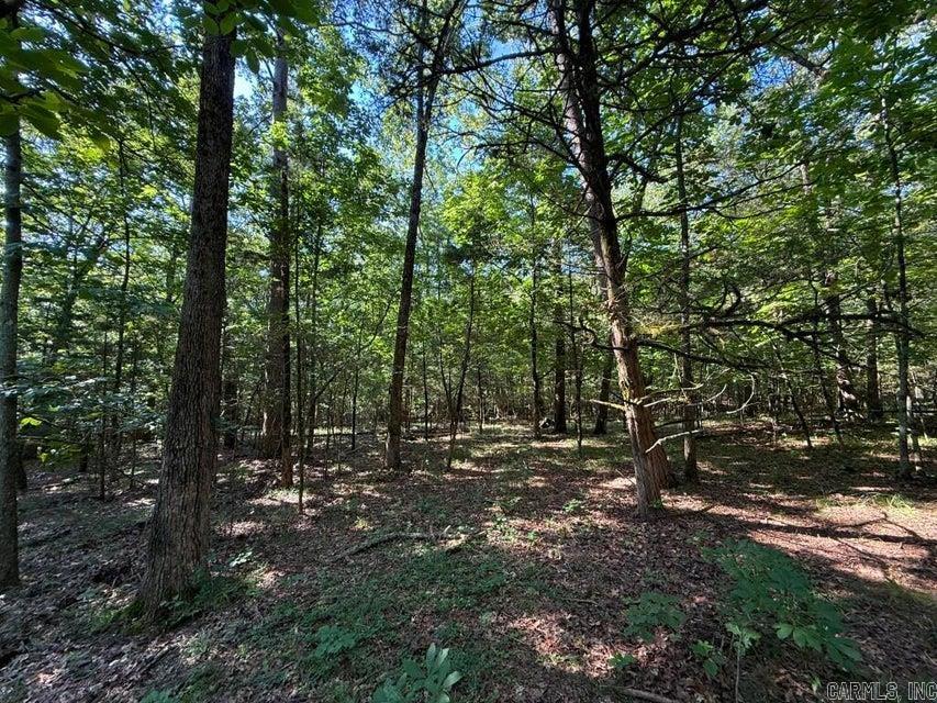 Photo 13 - Vacant Land for sale – 0  Mountain Ridge   Batesville, AR