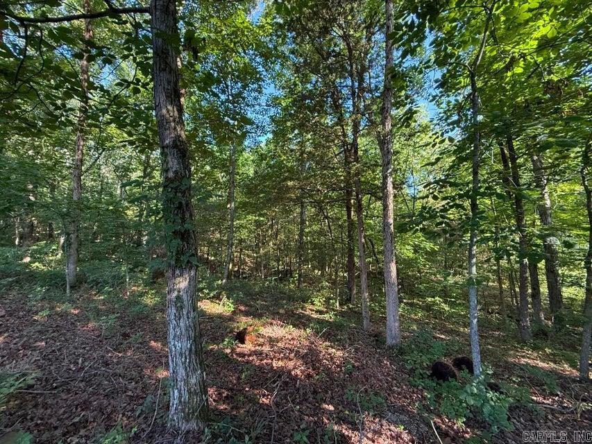 Photo 14 - Vacant Land for sale – 0  Mountain Ridge   Batesville, AR