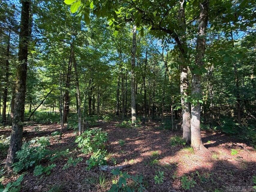Photo 9 - Vacant Land for sale – 0  Mountain Ridge   Batesville, AR
