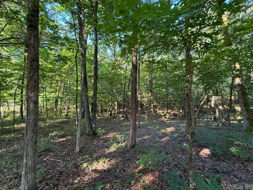 Photo 10 - Vacant Land for sale – 0  Mountain Ridge   Batesville, AR