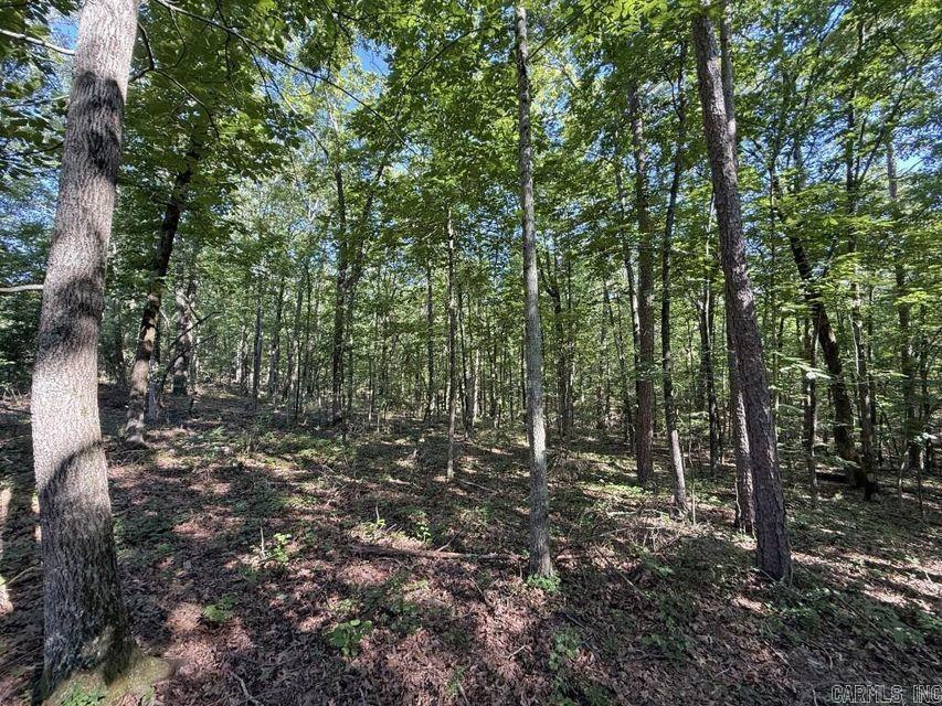 Photo 11 - Vacant Land for sale – 0  Mountain Ridge   Batesville, AR
