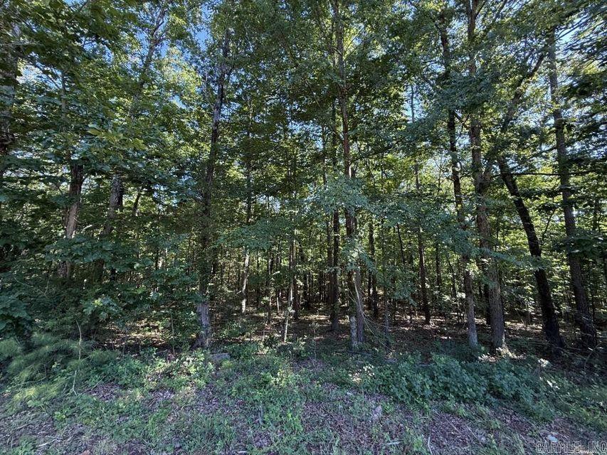 Photo 12 - Vacant Land for sale – 0  Mountain Ridge   Batesville, AR