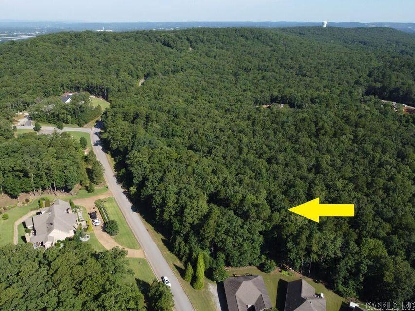 Photo 3 - Vacant Land for sale – 0  Mountain Ridge   Batesville, AR