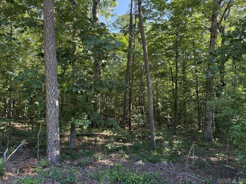 Photo 9 - Vacant Land for sale – 0  Mountain Ridge   Batesville, AR
