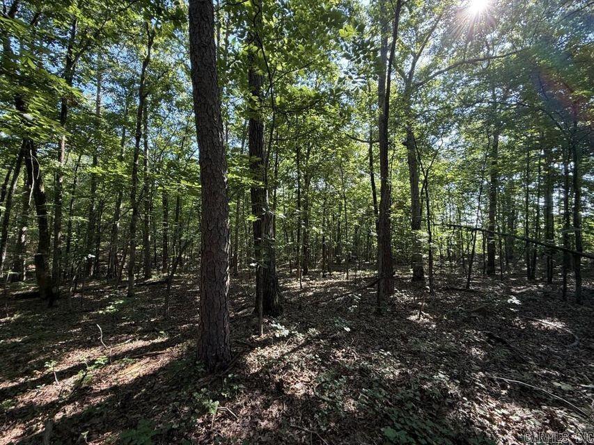 Photo 10 - Vacant Land for sale – 0  Mountain Ridge   Batesville, AR