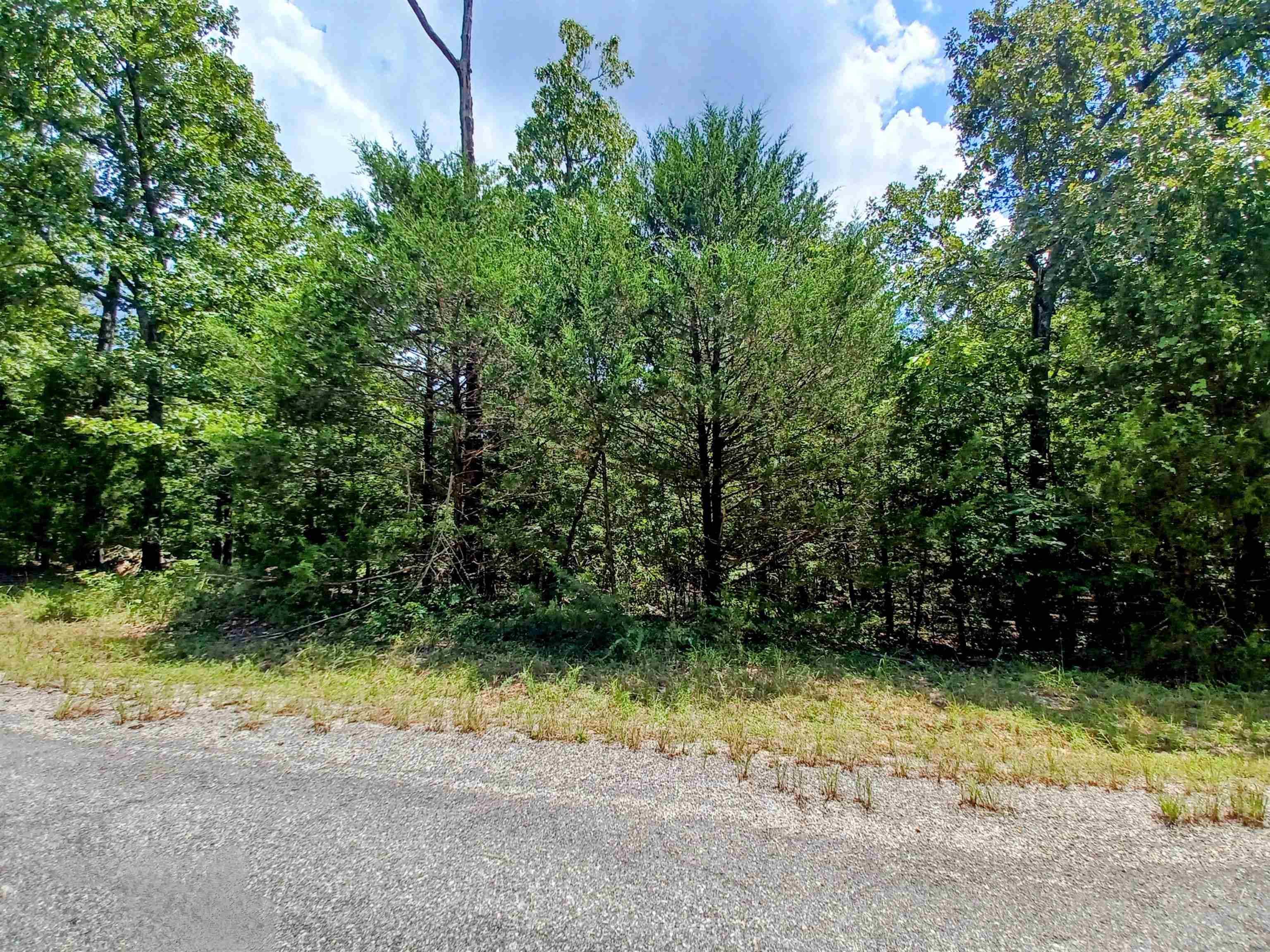 Vacant Land for sale – 901  Primrose   Horseshoe Bend, AR