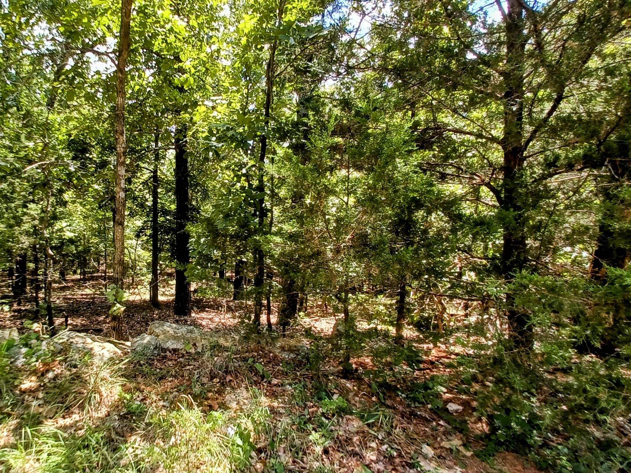 Photo 2 - Vacant Land for sale – 901  Primrose   Horseshoe Bend, AR