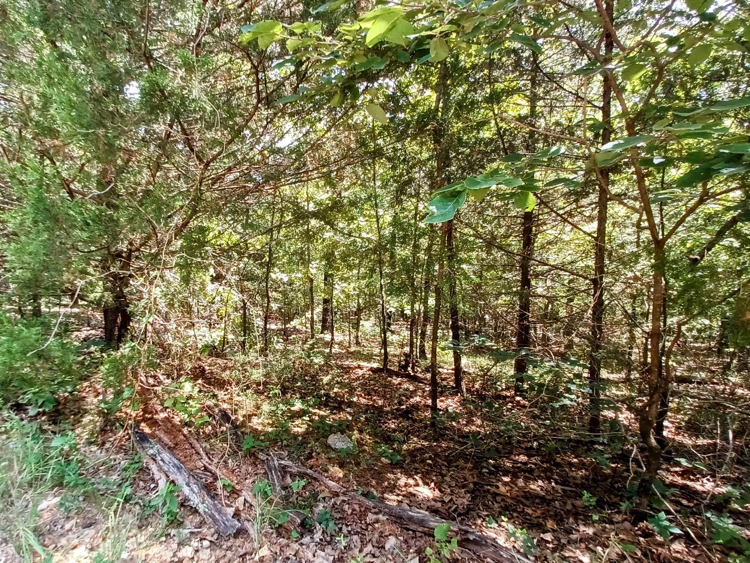 Photo 3 - Vacant Land for sale – 901  Primrose   Horseshoe Bend, AR