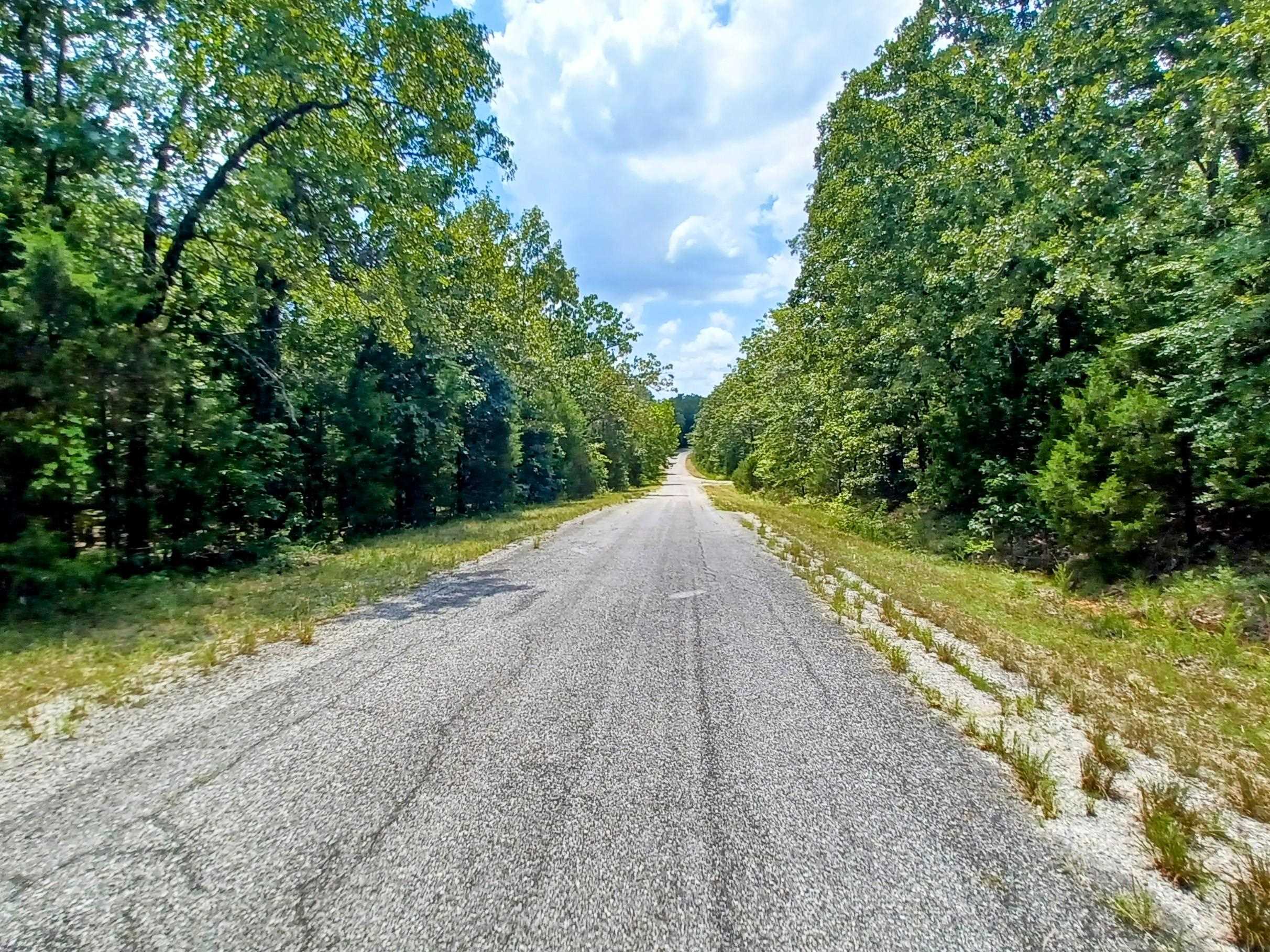 Photo 4 - Vacant Land for sale – 901  Primrose   Horseshoe Bend, AR