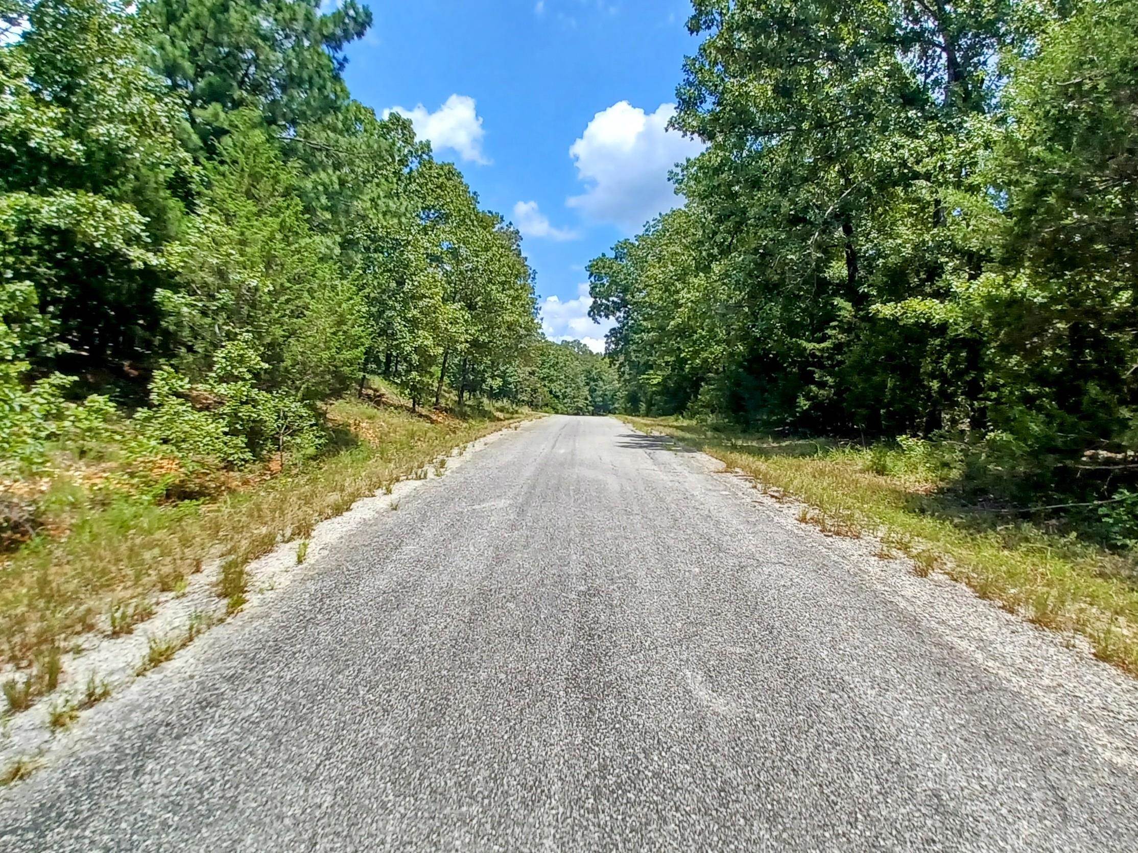 Photo 5 - Vacant Land for sale – 901  Primrose   Horseshoe Bend, AR