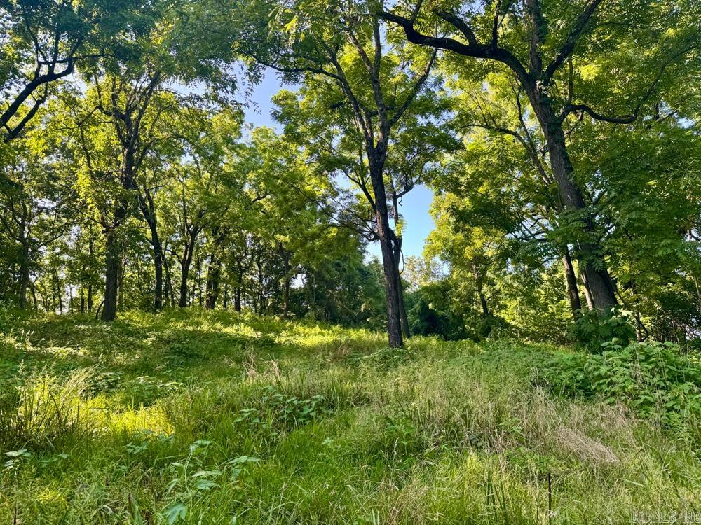 Photo 12 - Vacant Land for sale – 001  9   Melbourne, AR