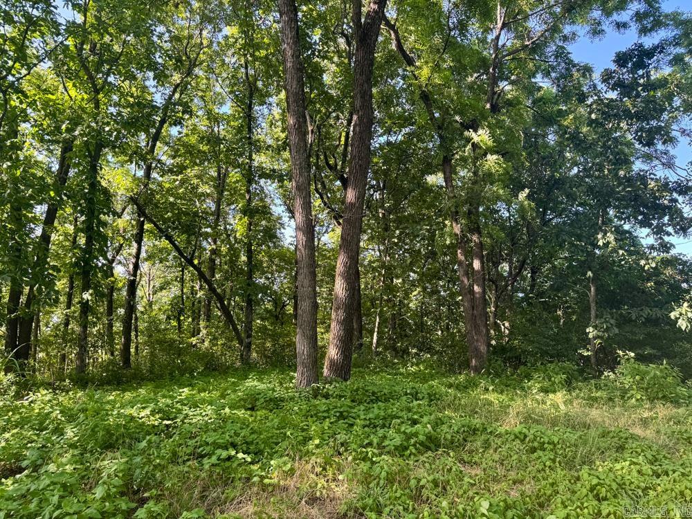 Photo 13 - Vacant Land for sale – 001  9   Melbourne, AR