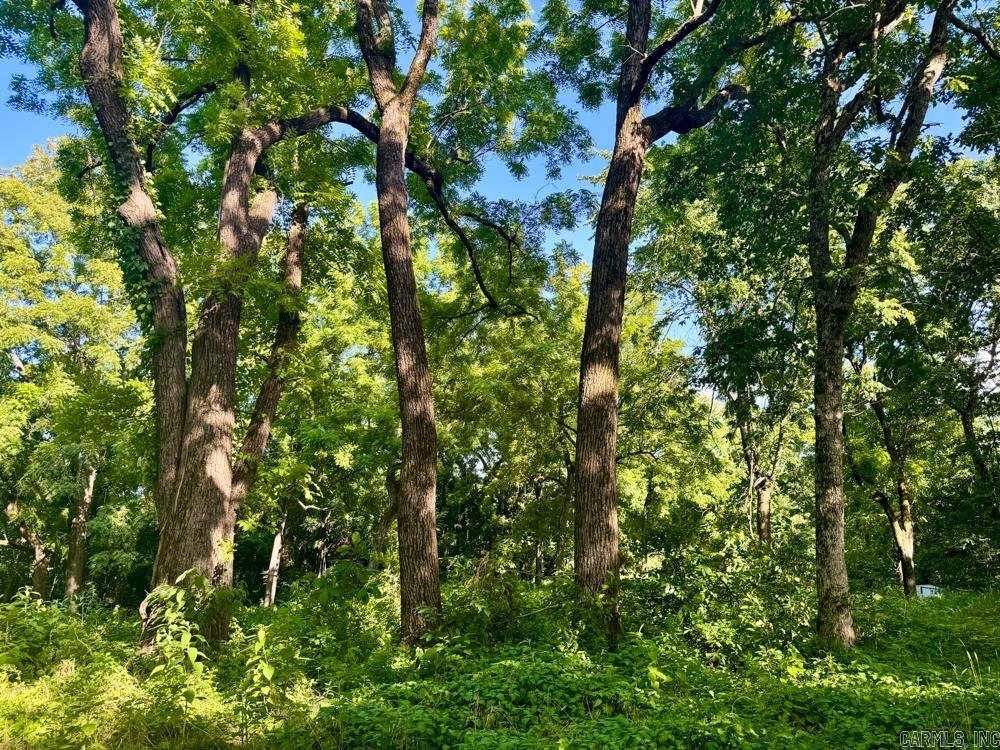Photo 14 - Vacant Land for sale – 001  9   Melbourne, AR
