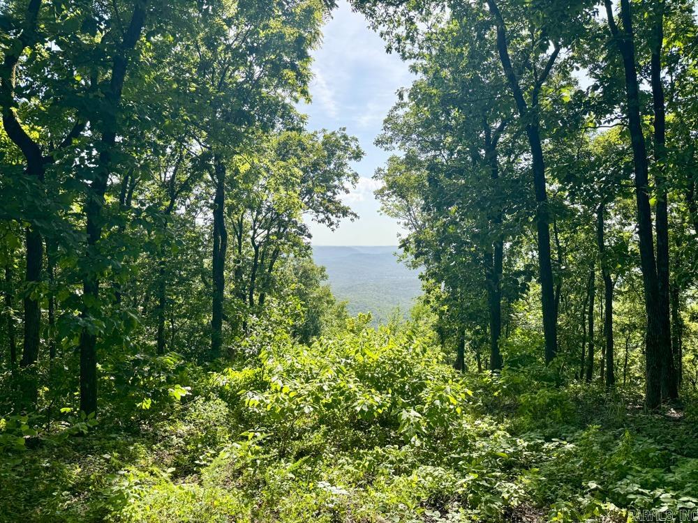 Photo 15 - Vacant Land for sale – 001  9   Melbourne, AR