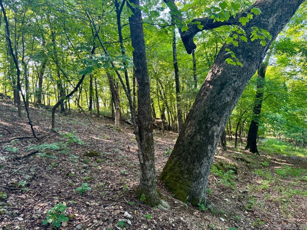 Photo 17 - Vacant Land for sale – 001  9   Melbourne, AR