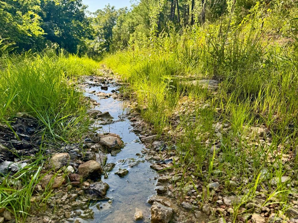 Photo 23 - Vacant Land for sale – 001  9   Melbourne, AR
