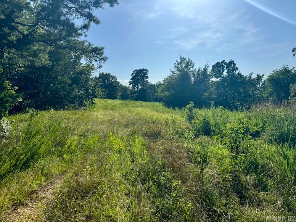 Photo 24 - Vacant Land for sale – 001  9   Melbourne, AR