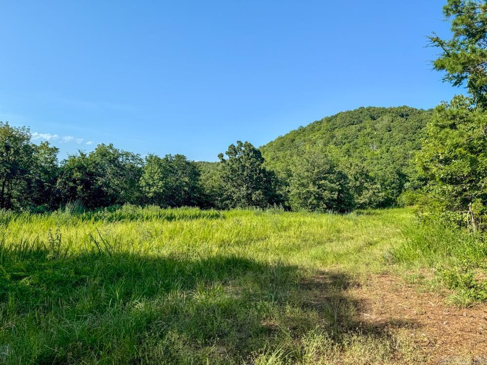 Photo 25 - Vacant Land for sale – 001  9   Melbourne, AR