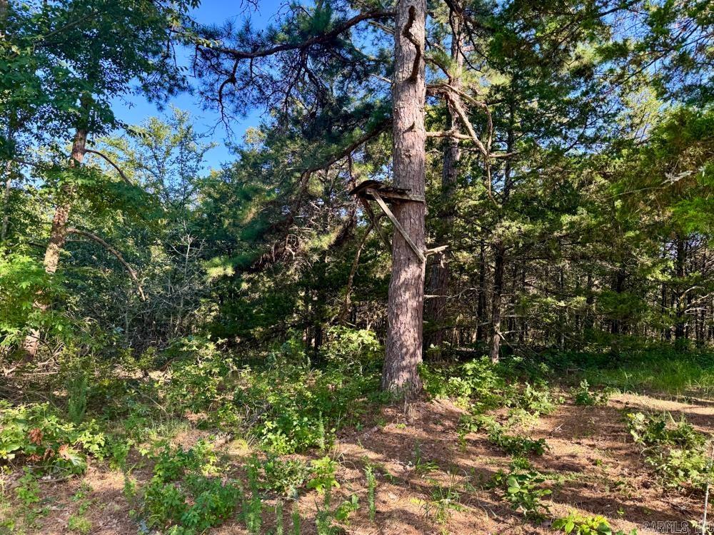Photo 26 - Vacant Land for sale – 001  9   Melbourne, AR