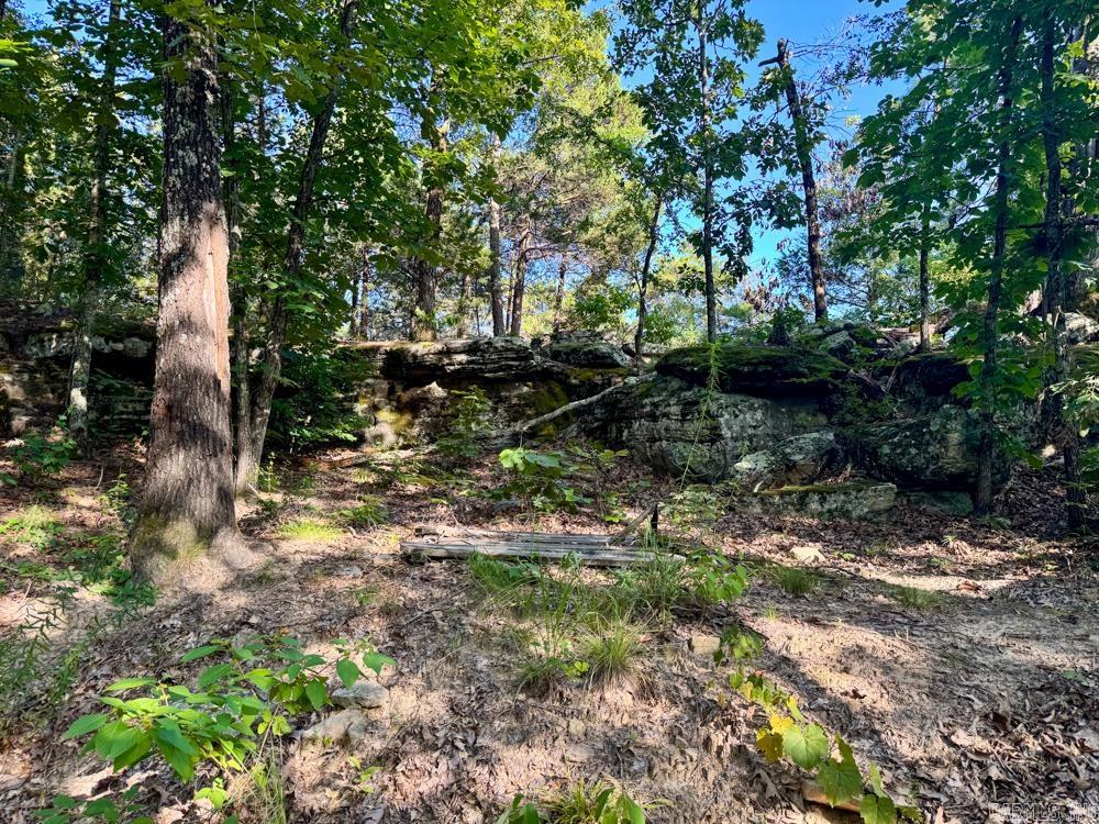 Photo 37 - Vacant Land for sale – 001  9   Melbourne, AR