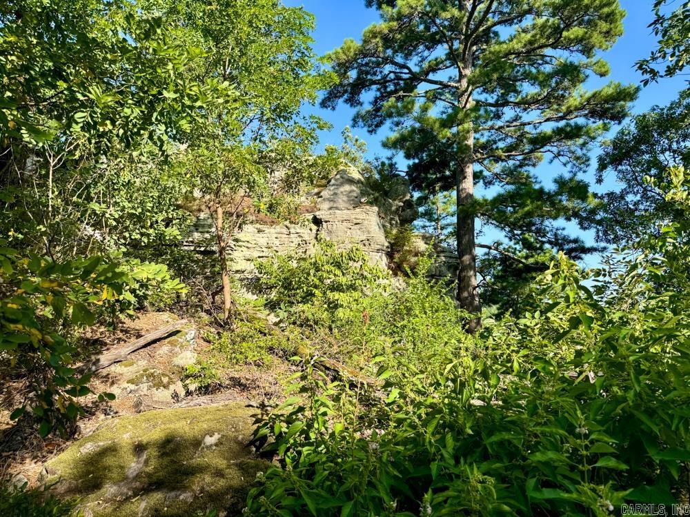 Photo 38 - Vacant Land for sale – 001  9   Melbourne, AR