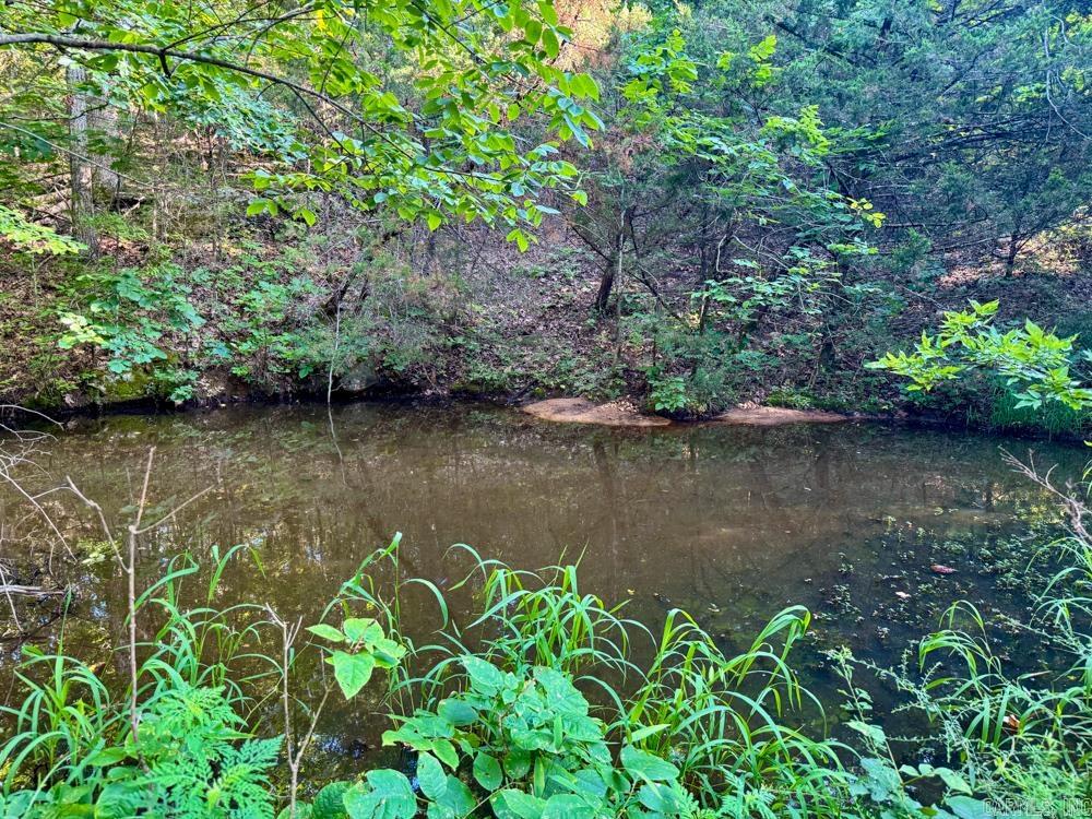Photo 40 - Vacant Land for sale – 001  9   Melbourne, AR