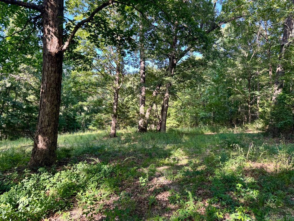 Photo 41 - Vacant Land for sale – 001  9   Melbourne, AR