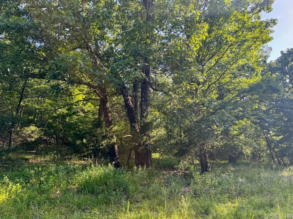 Photo 42 - Vacant Land for sale – 001  9   Melbourne, AR