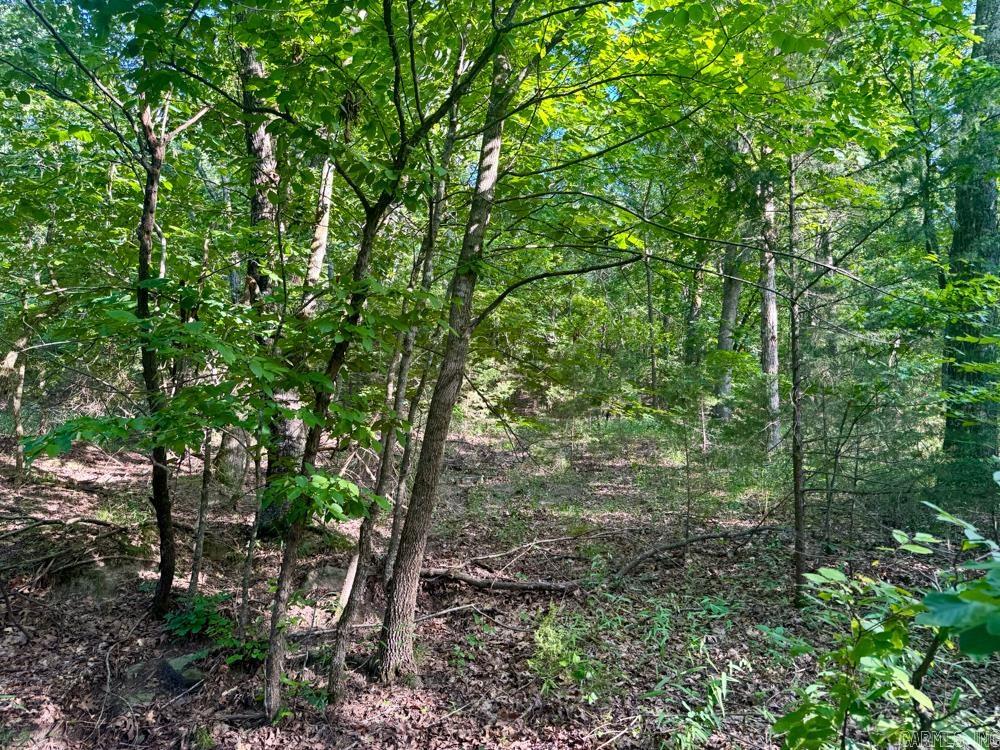Photo 43 - Vacant Land for sale – 001  9   Melbourne, AR