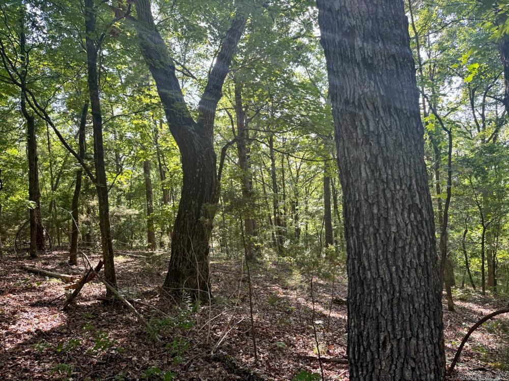 Photo 44 - Vacant Land for sale – 001  9   Melbourne, AR
