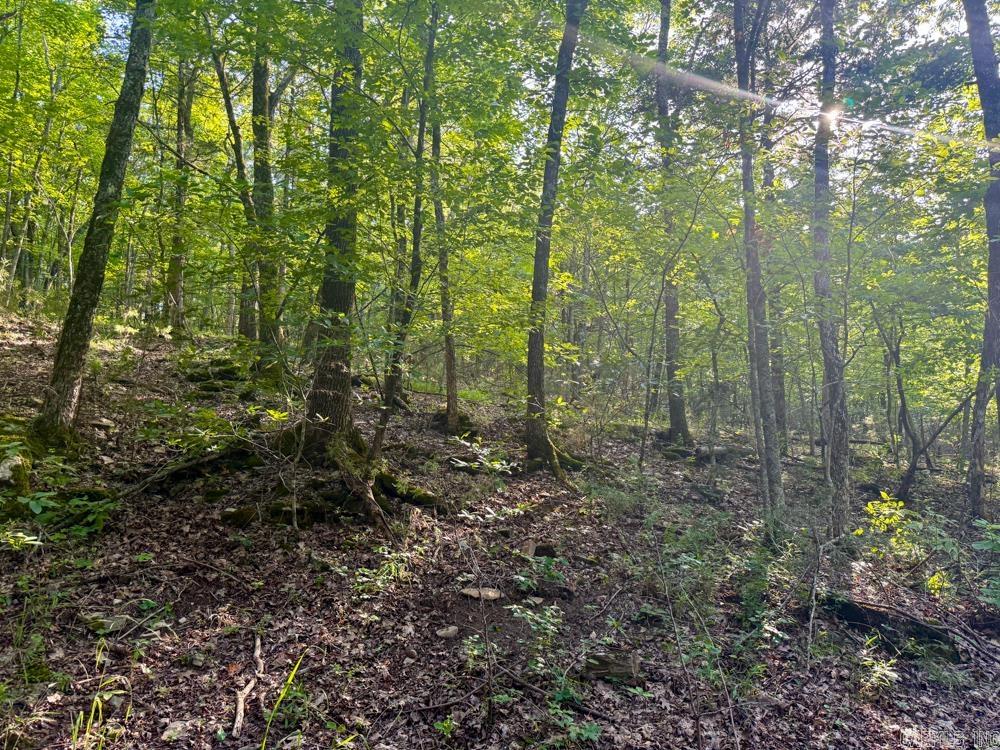 Photo 49 - Vacant Land for sale – 001  9   Melbourne, AR