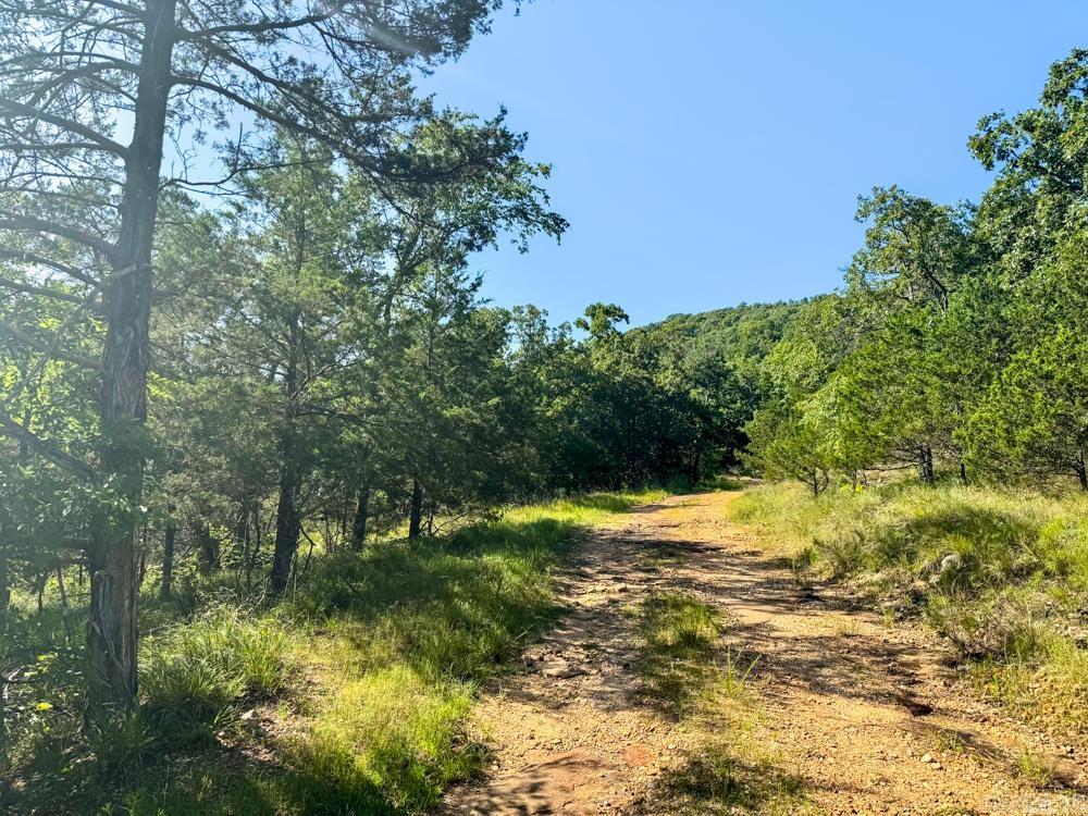 Photo 8 - Vacant Land for sale – 001  9   Melbourne, AR