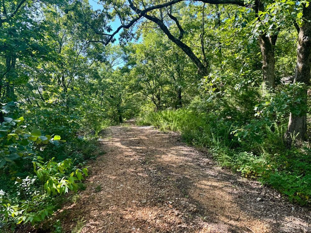 Photo 9 - Vacant Land for sale – 001  9   Melbourne, AR