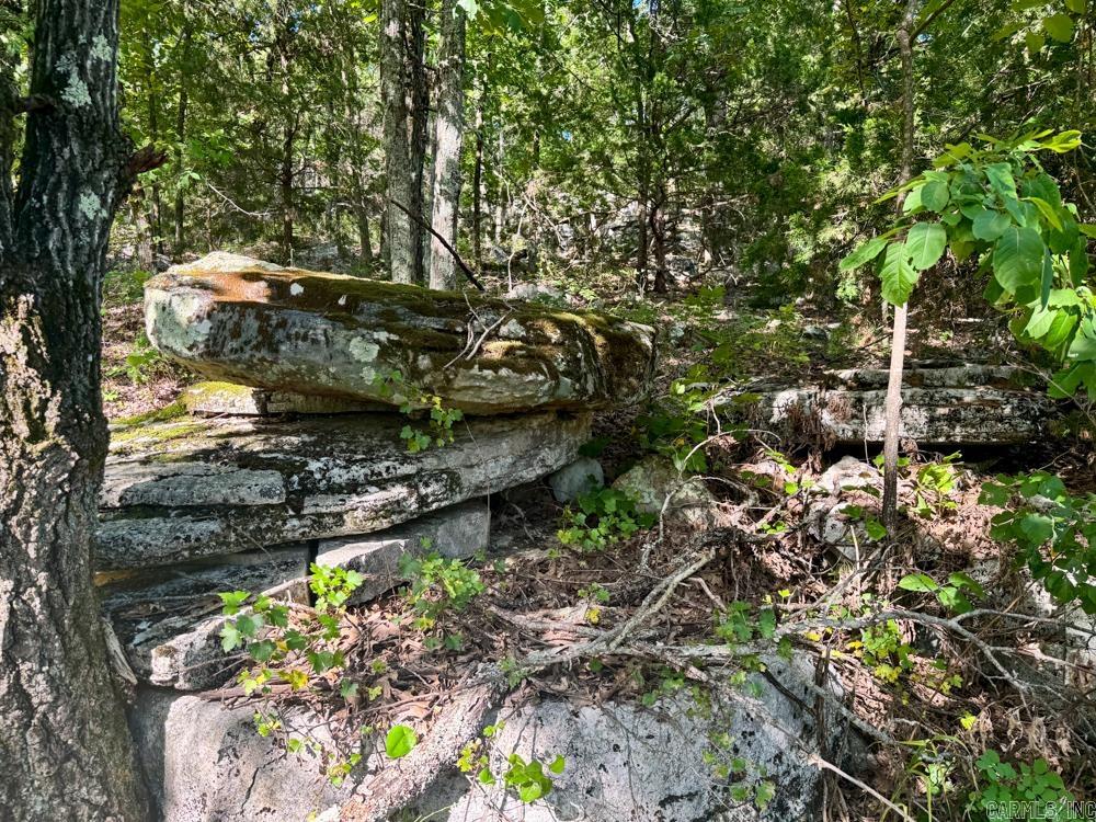 Photo 10 - Vacant Land for sale – 001  9   Melbourne, AR