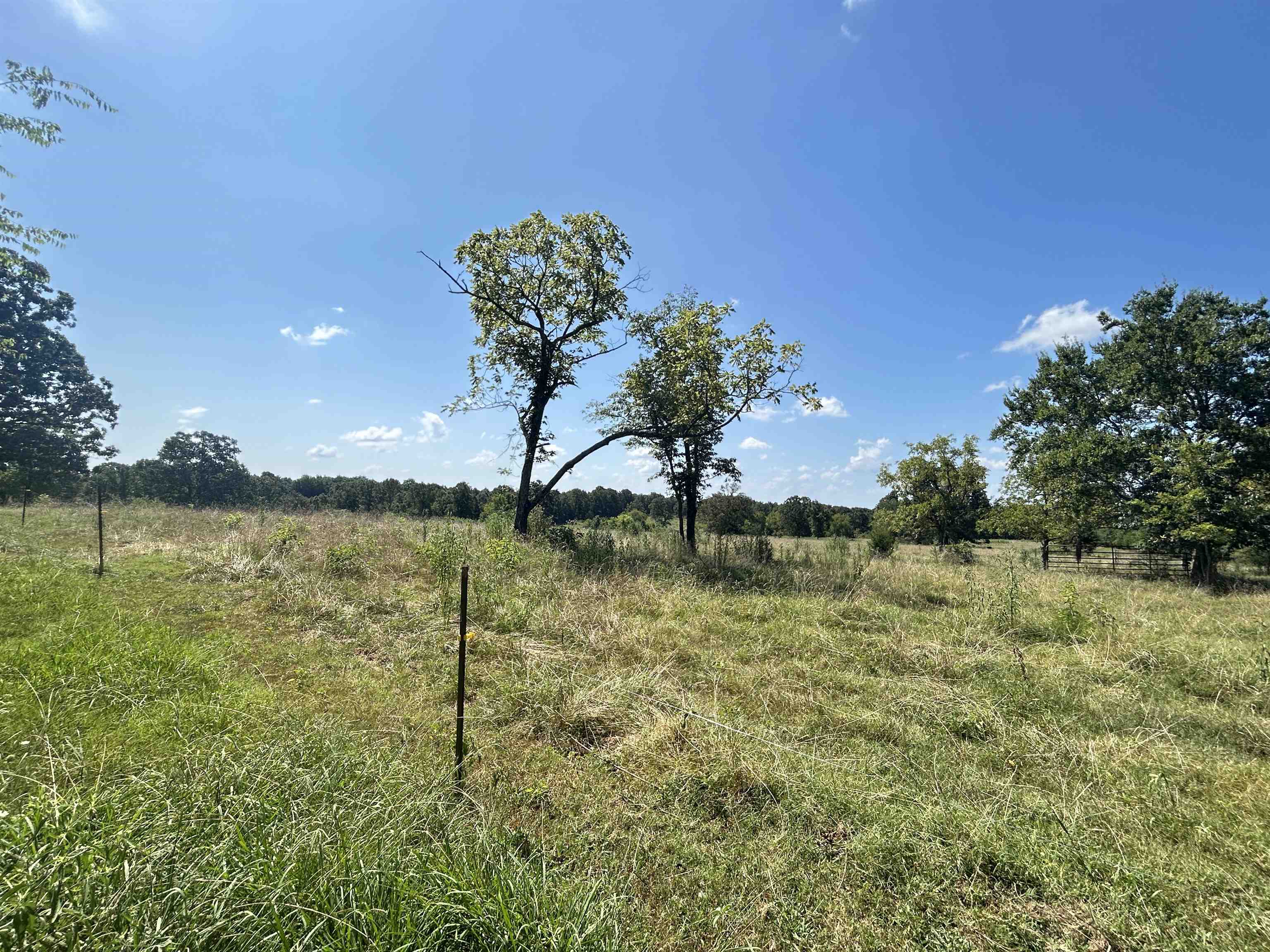 Photo 31 - Residential for sale – 152A E Turkey Pen   Highland, AR