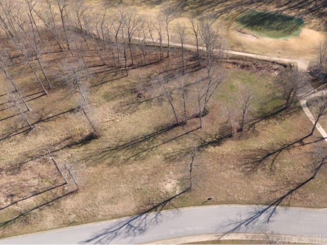 Photo 3 - Vacant Land for sale – 65  Eagle View Dr.   Batesville, AR