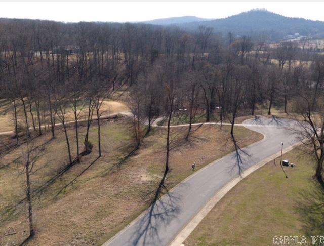 Photo 4 - Vacant Land for sale – 65  Eagle View Dr.   Batesville, AR