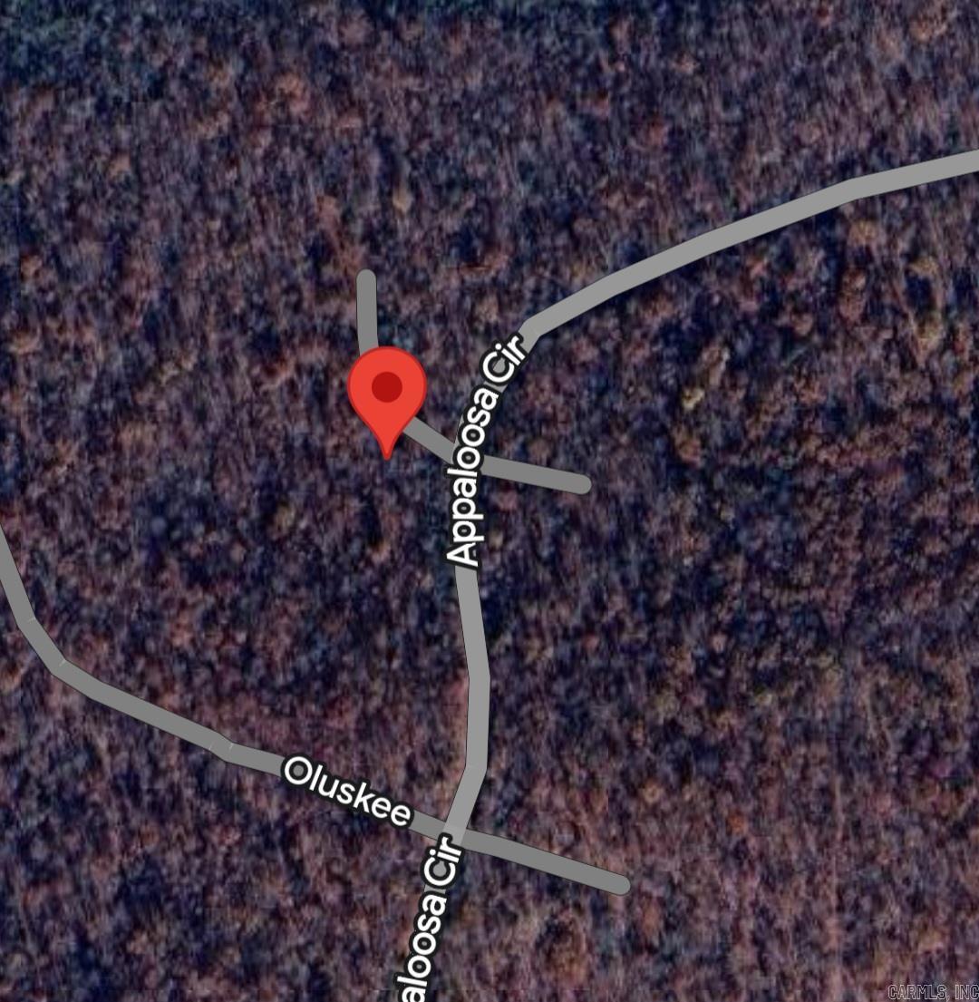 Photo 2 - Vacant Land for sale – Lot 02  Wimic   Cherokee Village, AR