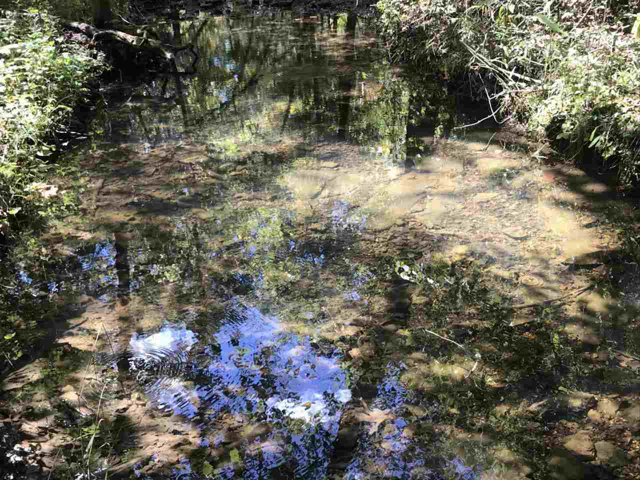 Photo 2 - Vacant Land for sale – 96 acres  Powell Hollow   Williford, AR