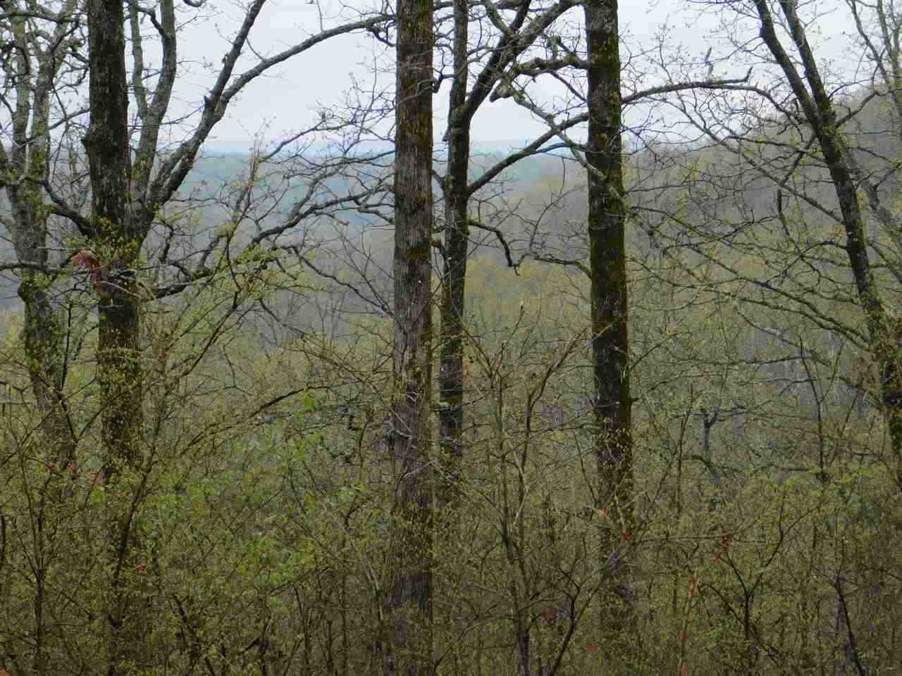 Photo 3 - Vacant Land for sale – 96 acres  Powell Hollow   Williford, AR