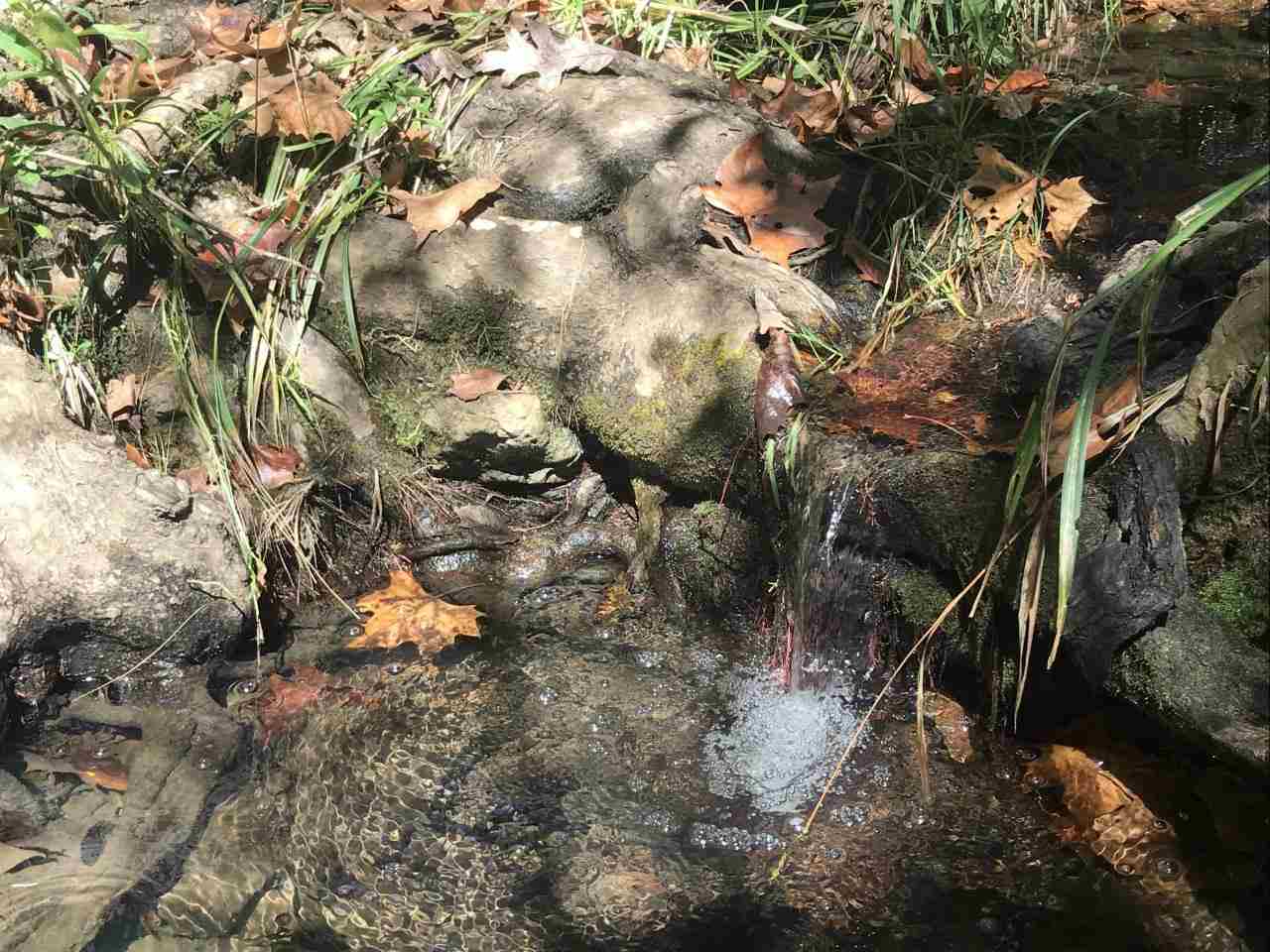 Photo 4 - Vacant Land for sale – 96 acres  Powell Hollow   Williford, AR